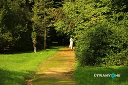 Zirci Arborétum borítóképe