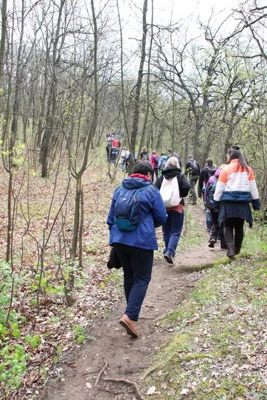 Második Fenyőfői Medvehagymás Családi Nap