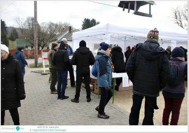 X. Bakonybéli Hagyományőrző Falusi Disznóvágás