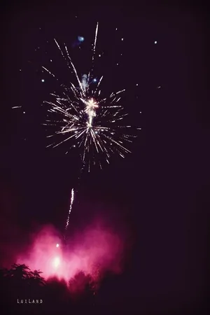 Nyárbúcsúztató főzőverseny, Fotó: LuiLand 