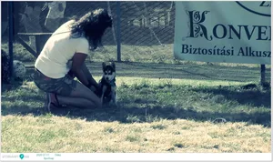 Sportnap 2020 Képek