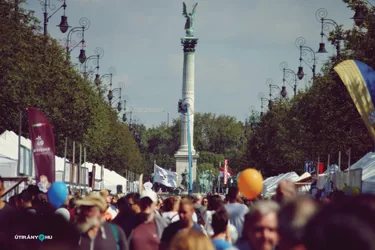 Nemzeti Vágta, szurkoljunk együtt a Bakonynak!