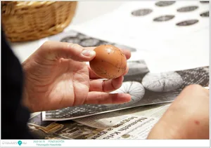 Képek a rendezvényről