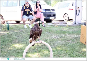 Képek: Útiárny.hu