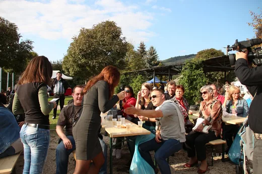 'Gerence Party Pityóka Party' cikk borítóképe