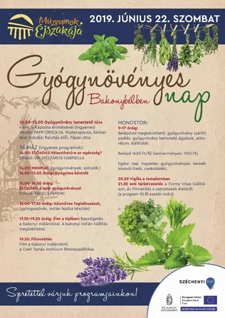 Gyógynövényes nap borítóképe