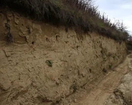 Gyurgyalag fészkelőhely borítóképe