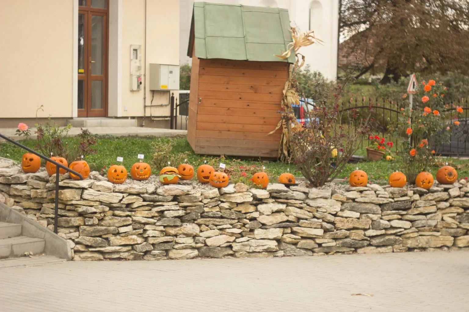 Tökfesztivál 2018. Képek: Babai Lalinda