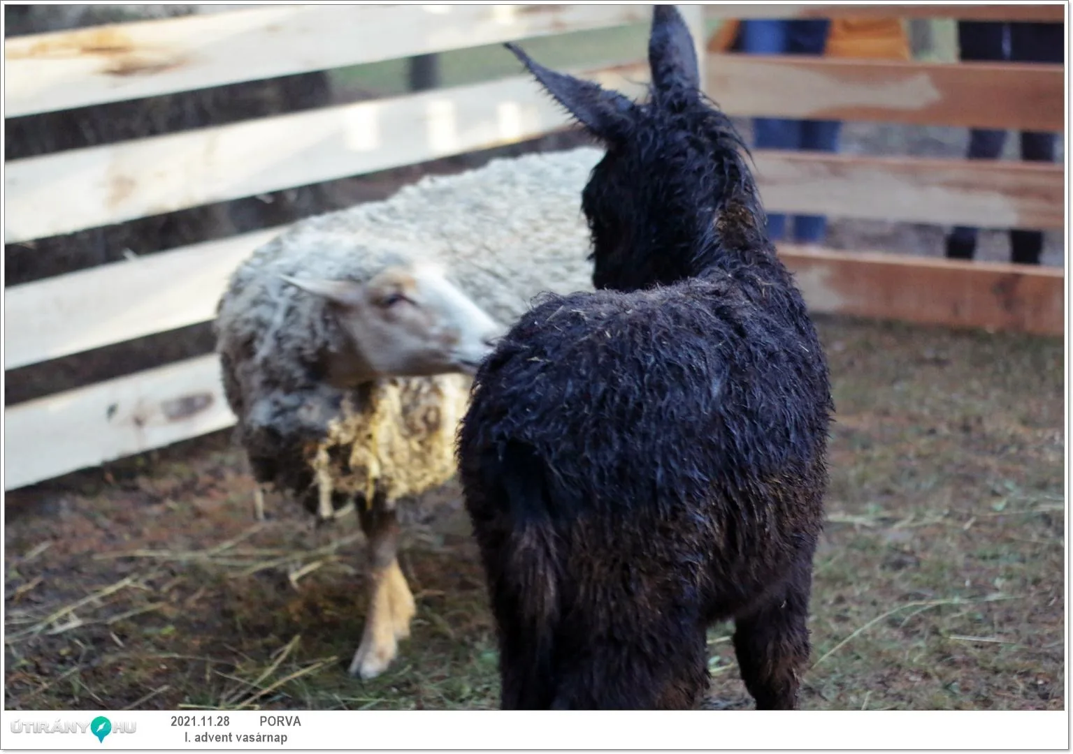 Képek a rendezvényről