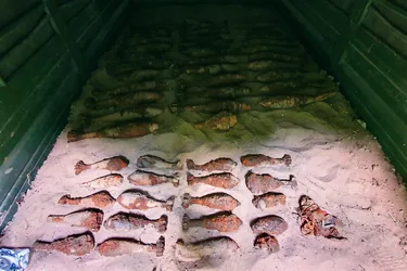 Fotók: Kapitány Gábor hadnagy, Vass Tamás főtörzsőrmester