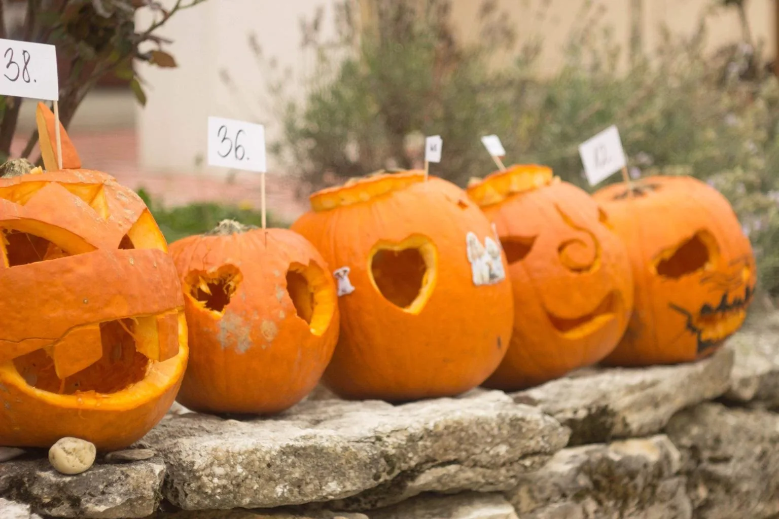 Tökfesztivál 2018. Képek: Babai Lalinda