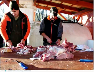 Fotók, Útirány.hu