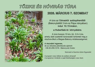 Tőzike és hóvirág túra borítóképe