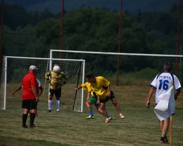 14. Porva Falunap és Nemzetiségi nap 2015. 