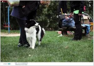 Fotók, Útirány.hu