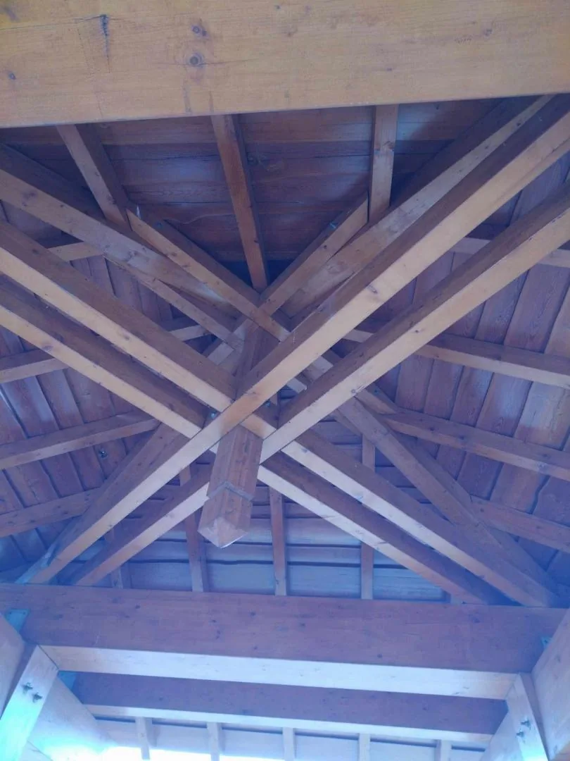 Fotók, Vadon Vándorai 