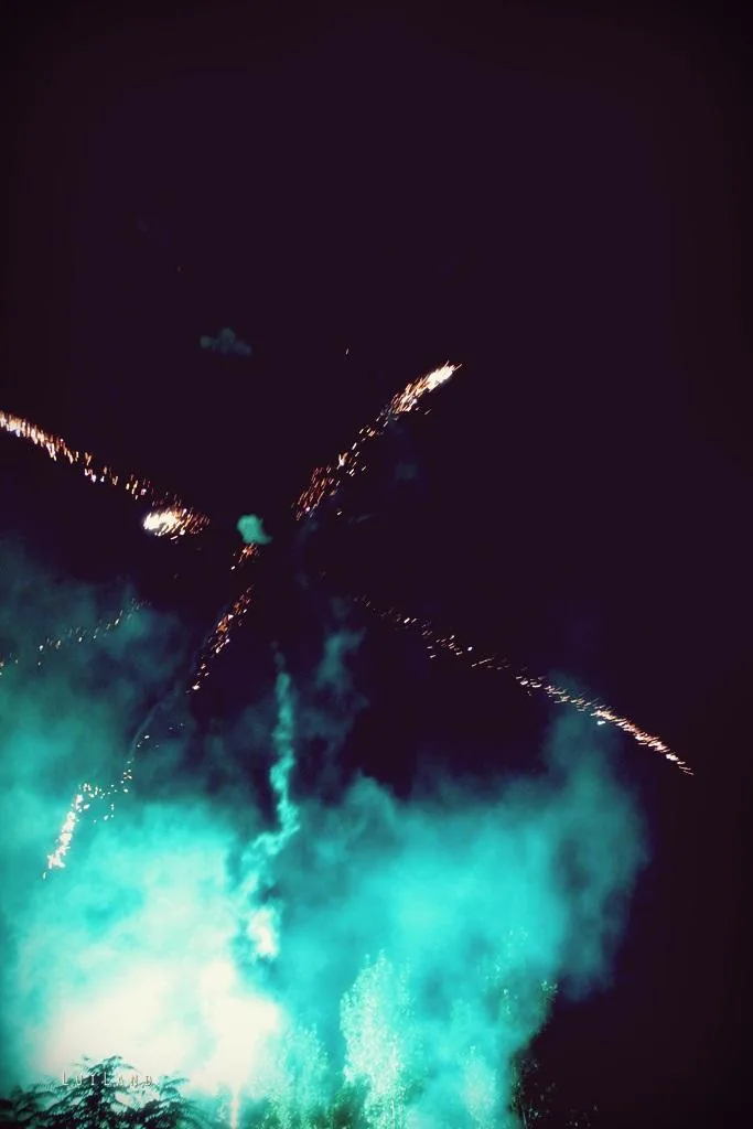 Nyárbúcsúztató főzőverseny, Fotó: LuiLand 