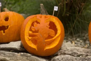 Tökfesztivál 2018. Képek: Babai Lalinda