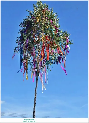 Fotók: Önkormányzat