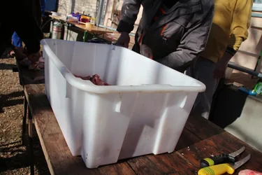 III. Falusi disznóvágás beszámoló fotókkal
