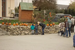Tökfesztivál 2018. Képek: Babai Lalinda