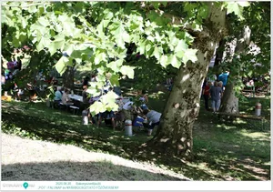 „PÓT”- FALUNAP és NYÁRBÚCSÚZTATÓ FŐZŐVERSENY KÉPEK / Fotók: Útirány.hu