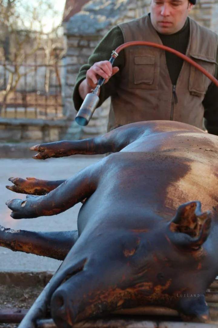 Fotók: Útirány.hu