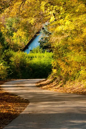 Fotó: Pesty Márton