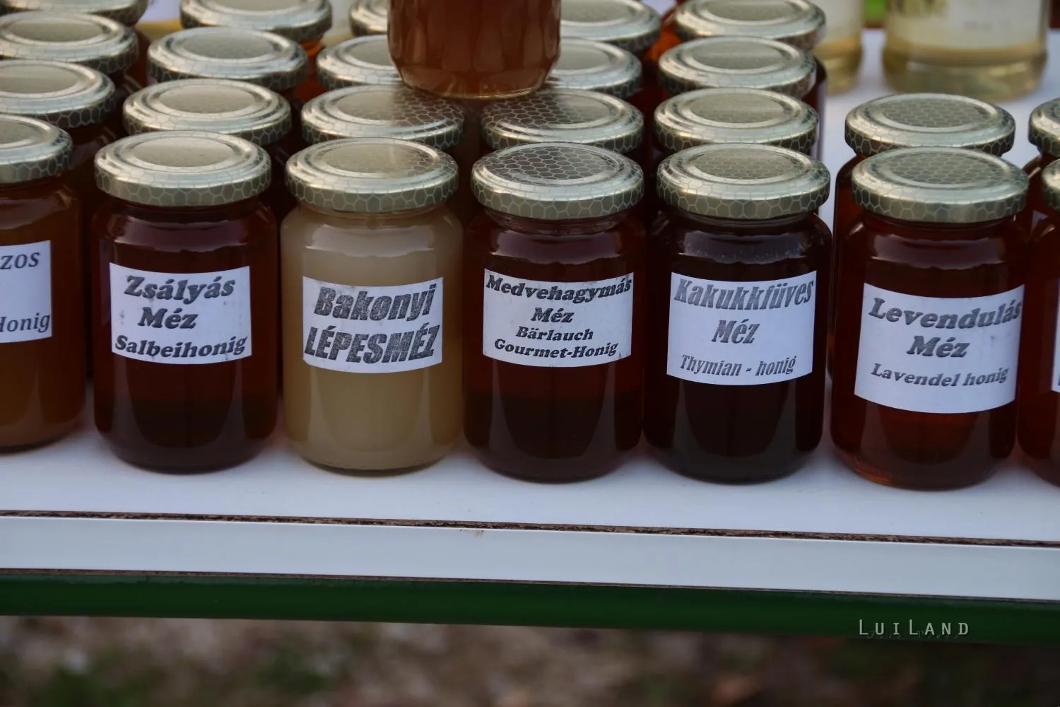 késő délután és este, fotók: BakonyiHírek