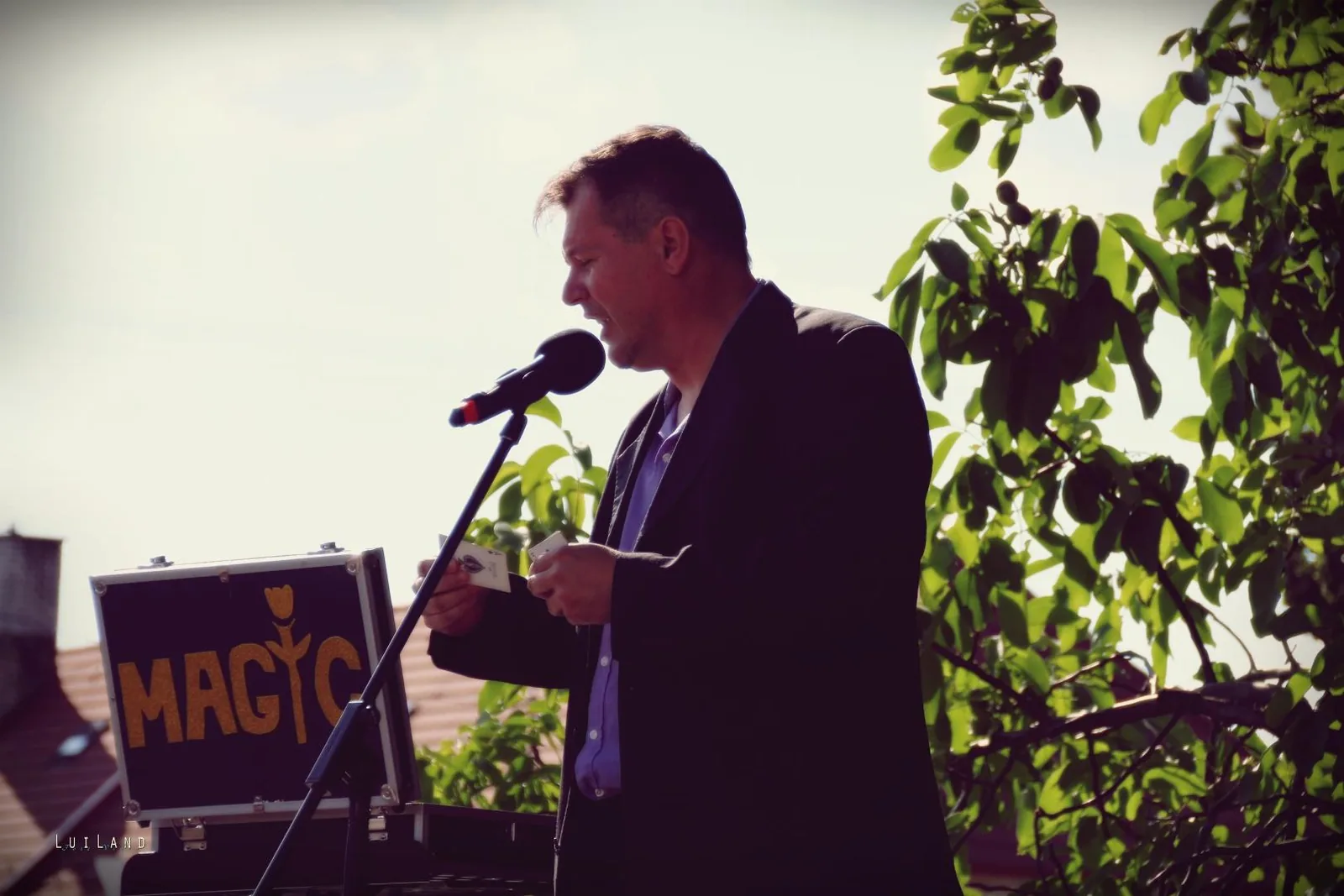 Falunap Fotó: LuiLand