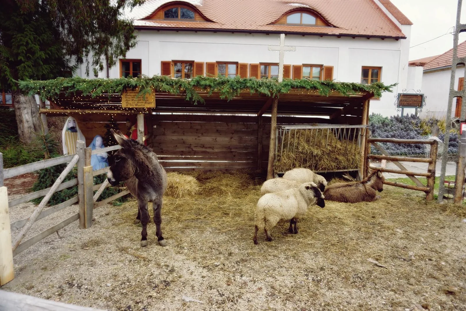 Betlehem 2019 Fotó: Nagy Ferenc