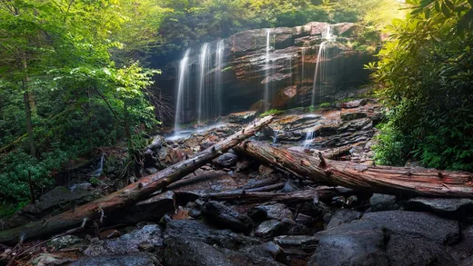'Egy korty a természetből' cikk borítóképe