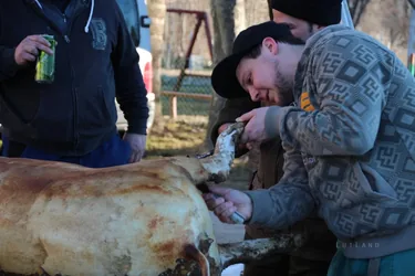 III. Falusi disznóvágás beszámoló fotókkal