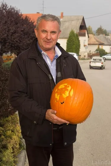 Töklámpás Parádé