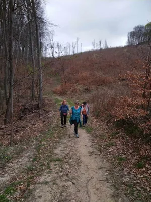 Fotók, Vadon Vándorai 