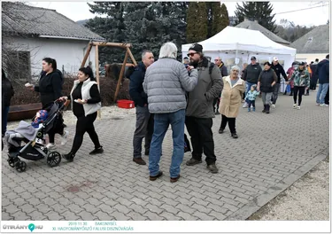 XI. BAKONYBÉLI HAGYOMÁNYŐRZŐ FALUSI DISZNÓVÁGÁS