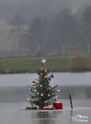 2022 december Fotók: Útirány.hu