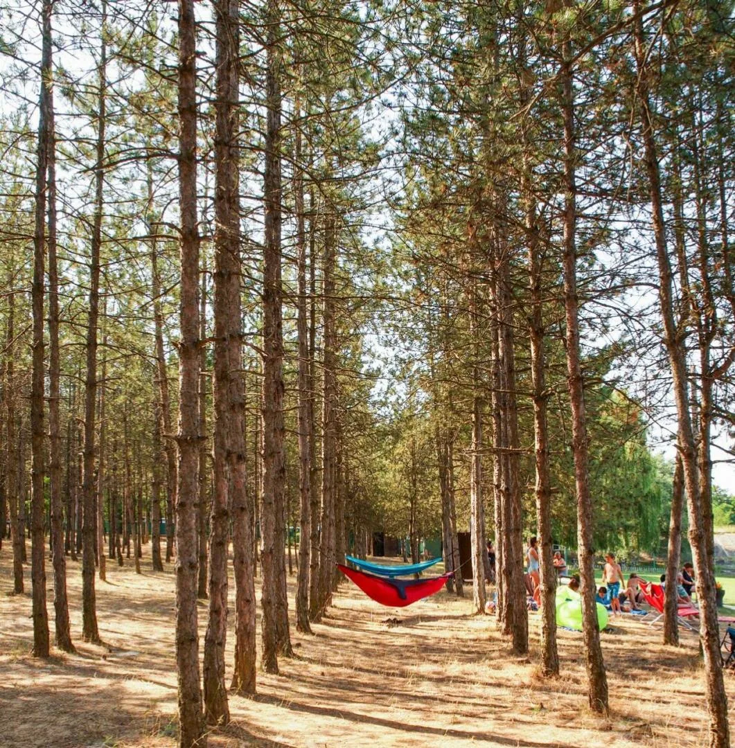 Fotók: Joó Annamária