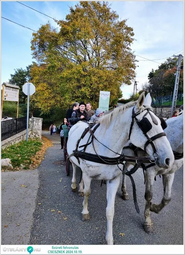Szüreti felvonulás és Bál