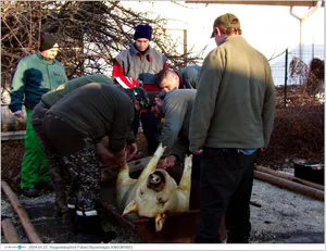 Fotók, Útirány.hu