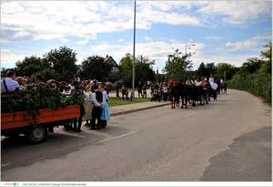 Fotók, Útirány.hu