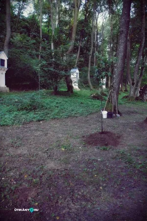 Teremtés Napja 2018. Fotók: Útirány.hu