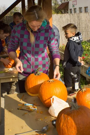Tökfesztivál 2018. Képek: Babai Lalinda