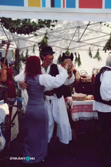 Nemzeti Vágta, szurkoljunk együtt a Bakonynak!