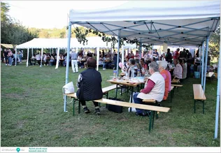 Nyitott pincék napja, zenés szüreti forgatag borítóképe