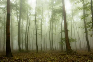 Fotó: Pesty Márton