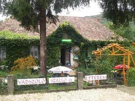 Bakonyvári Vadszőlő Wellness Szálló és étterem borítóképe