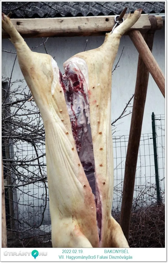 Fotók: Útirány.hu