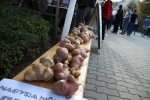 Kora délután, fotók: BakonyiHírek