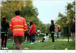 Fotók, Útirány.hu